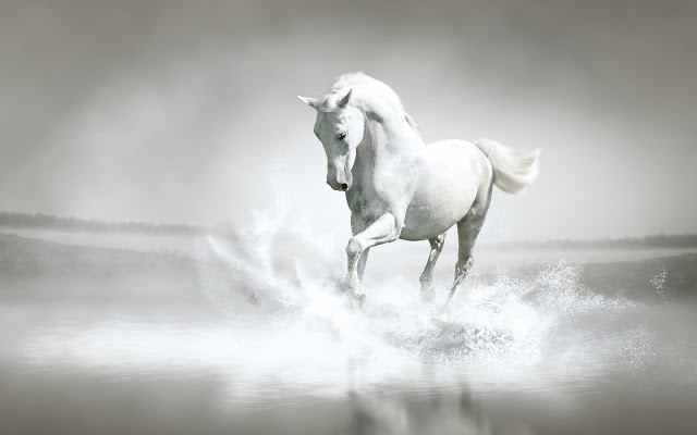 White Horse Vision