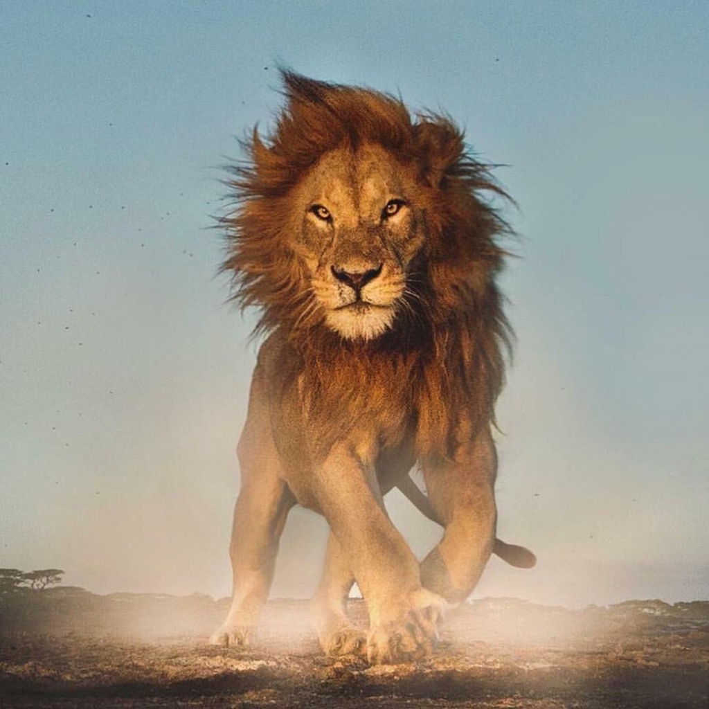“I AM COMING!” (Lion of Judah) I saw Jesus return
